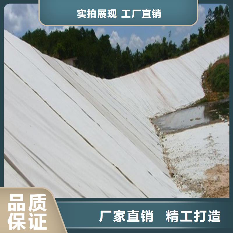 土工膜魚塘防滲膜 常年供應，守護高效養殖與生態環境