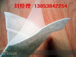 防水卷材市場新動向 防滲土工膜應(yīng)用與商業(yè)機(jī)會探討