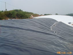 化工廠煉油廠防滲用hdpe土工膜